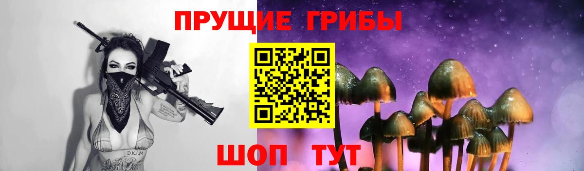 Белая Калитва  Галлюциногенные грибы Cubensis  Вход с VPN 